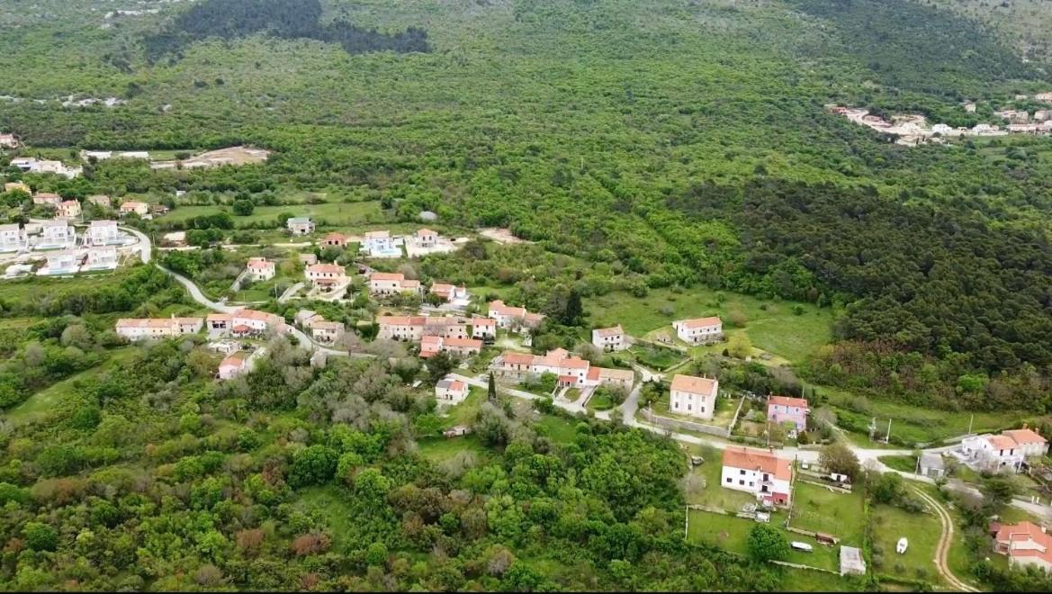 Bonvivan House Diminici Экстерьер фото